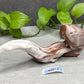 Oola Tongue - Insertable Maw Toy - Small - Medium - 42012