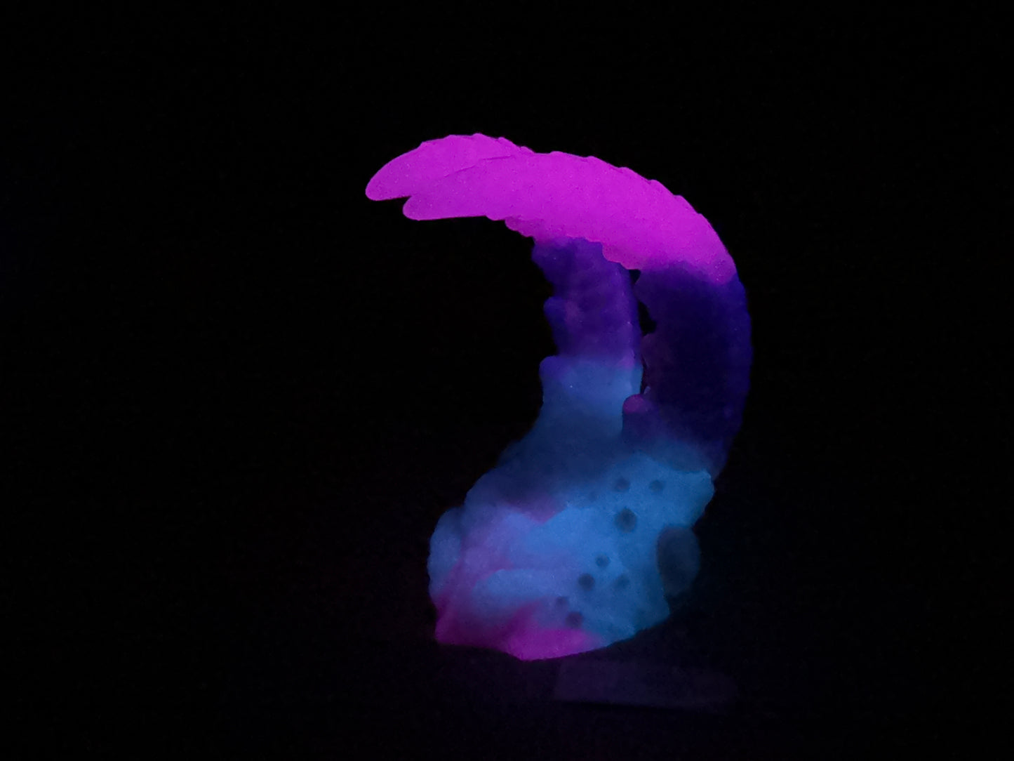 Kariss - Shrimp Insertable - Small - NC31 Soft - UV - GITD - 31002