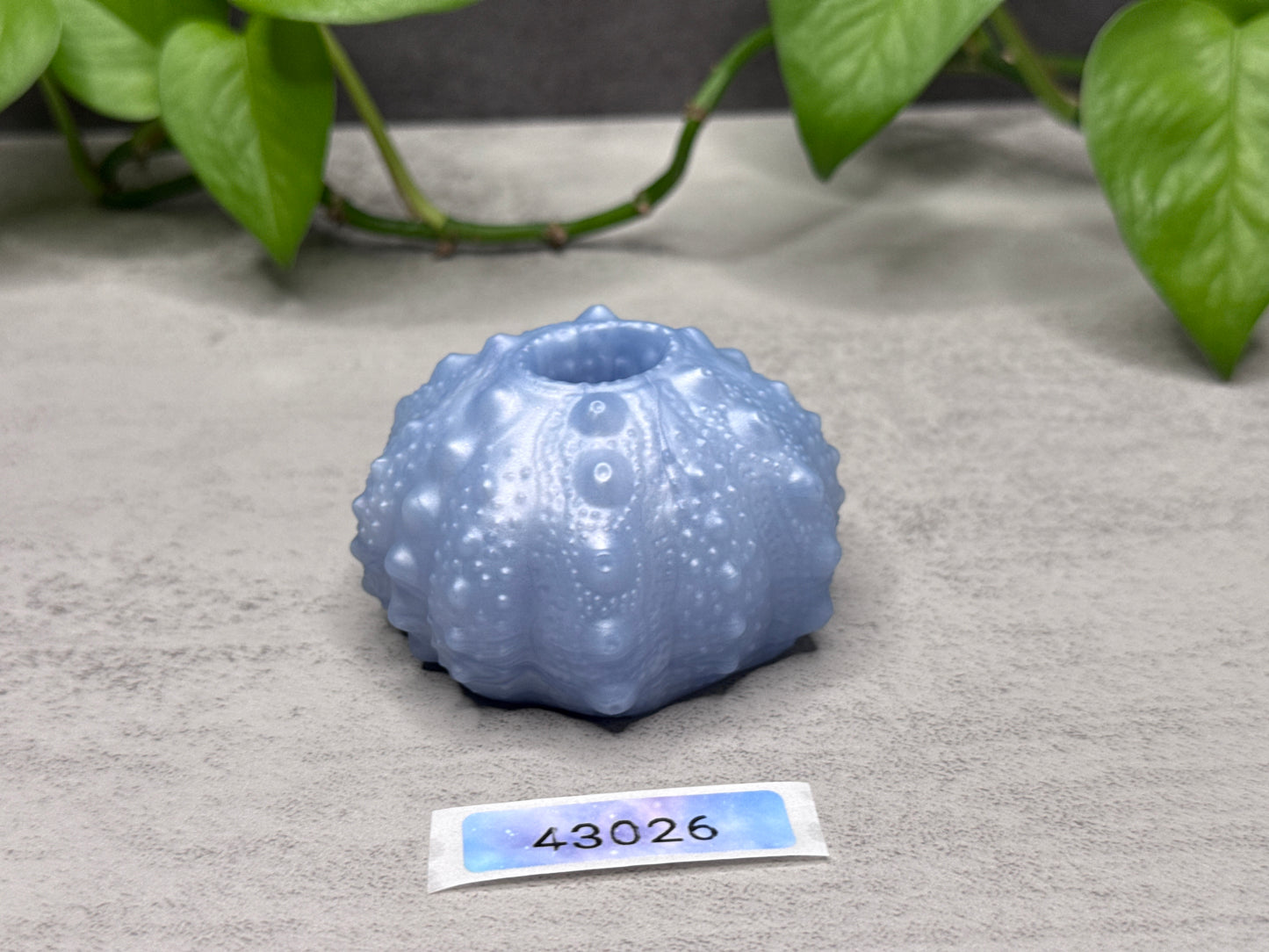Echinus - Urchin Sucker - One Size - Super Soft - 43026