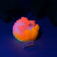 Elixir - Echidna Squishy - Large - Super Soft - UV - 43019