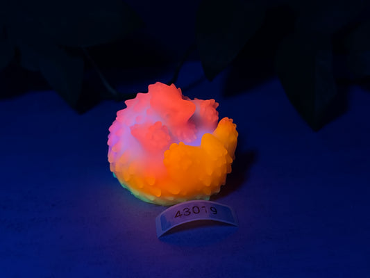 Elixir - Echidna Squishy - Large - Super Soft - UV - 43019