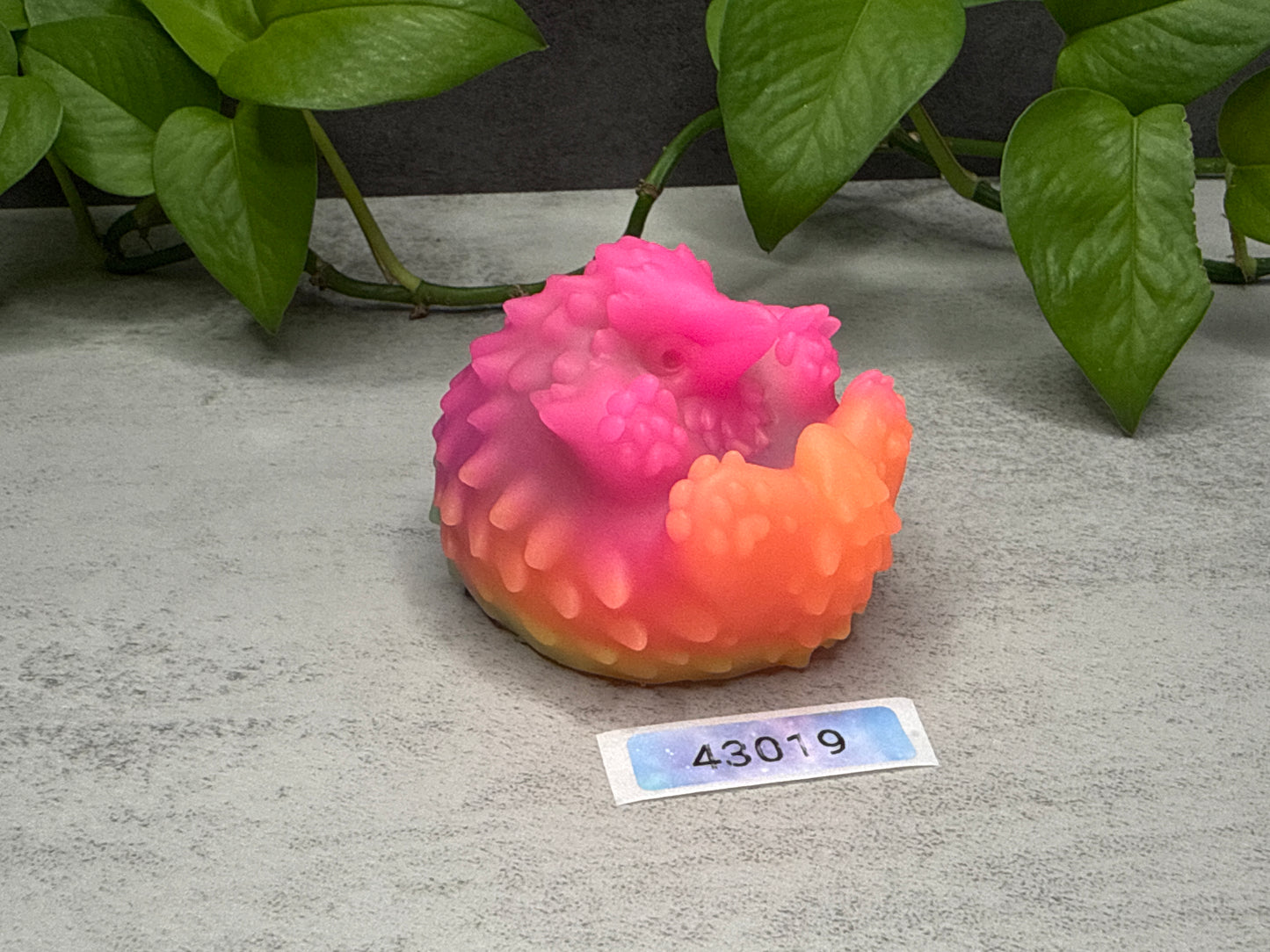 Elixir - Echidna Squishy - Large - Super Soft - UV - 43019