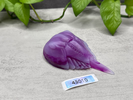 Flop - Eugene - Horseshoe Crab Squishy - Medium - Super Soft - 43010