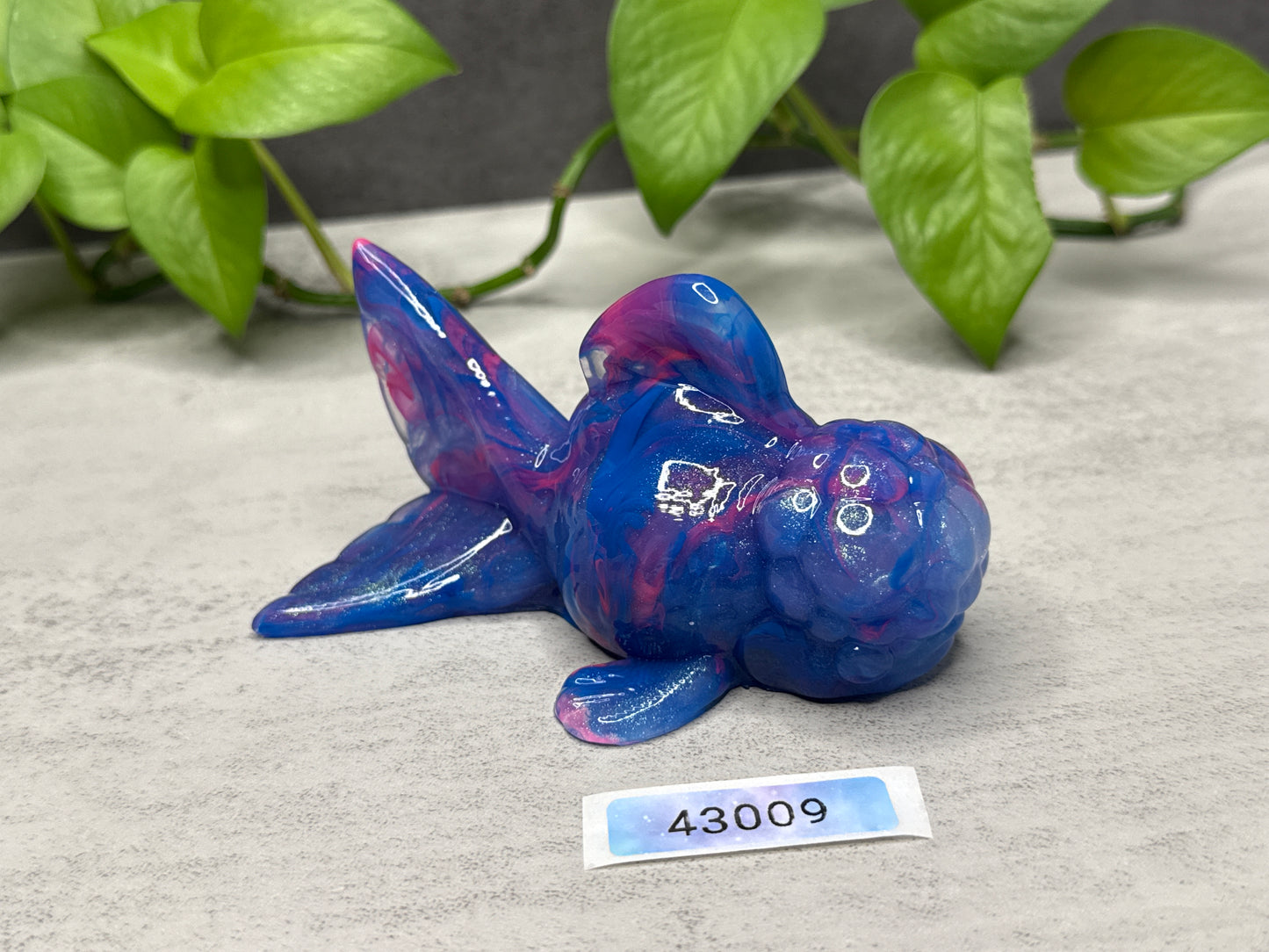 Cheddar - Goldfish Squishy - Medium - NC31 Soft - 43009
