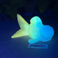 Flop - Cheddar - Goldfish Squishy - Medium - Super Soft - UV - GITD - 43007