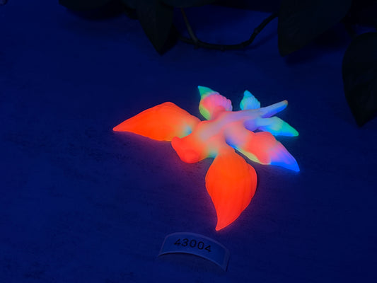Glaucus - Sea Slug Squishy - One Size - Super Soft - UV - 43004