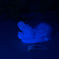 Delta - Hippo Squishy - One Size - NC31 Soft - UV - 43003