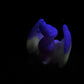 Tektonik - Dragon Squishy - Large - Soft - UV - GITD - 32036