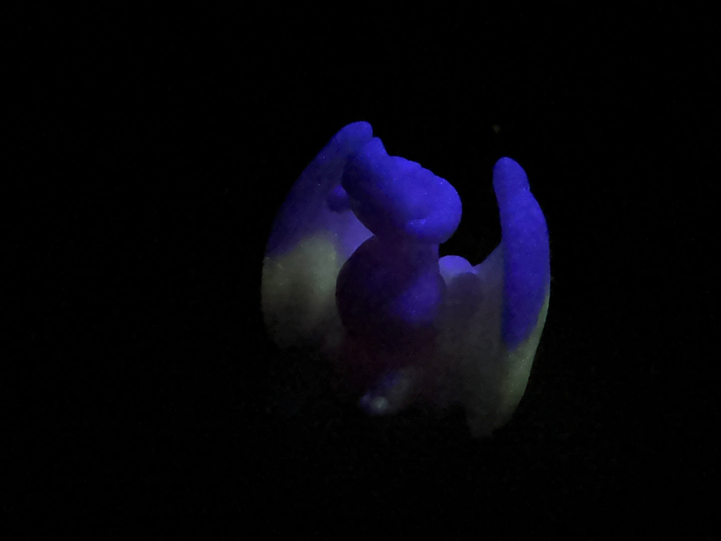 Tektonik - Dragon Squishy - Large - Soft - UV - GITD - 32036