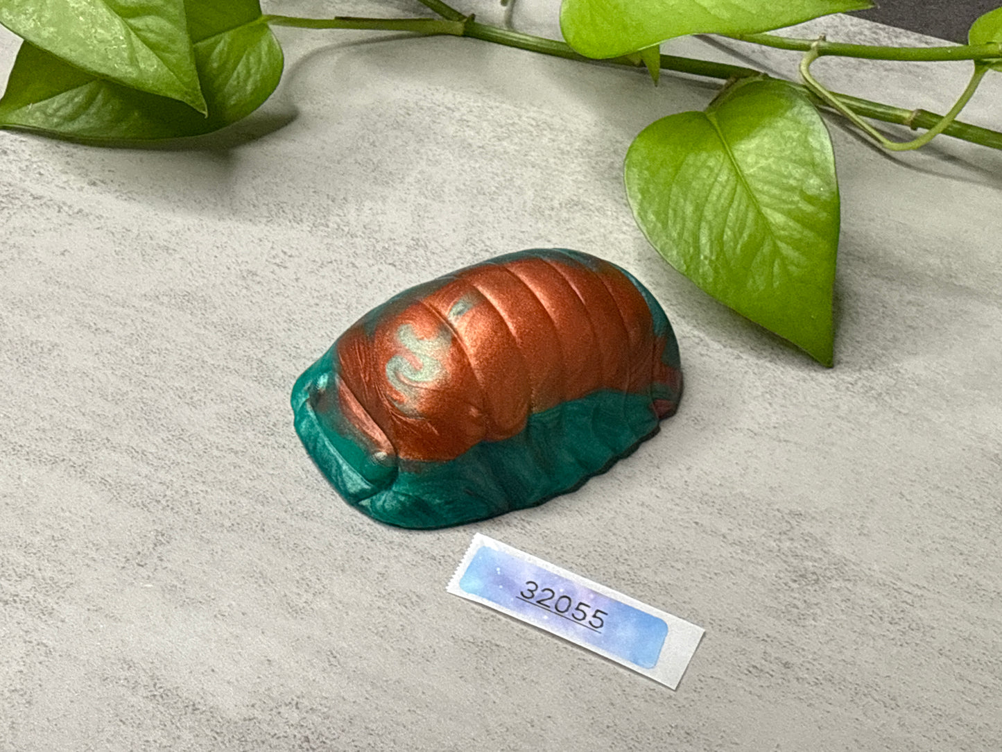 Rollie - Isopod Squishy - Medium - Soft - 32055