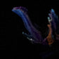 Flop - Marrow - Maw Insertable - Small - Soft - UV - GITD - 4448