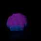 Echinus - Urchin Sucker Stroker - One Size - Soft - UV - GITD - 4445
