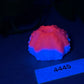 Echinus - Urchin Sucker Stroker - One Size - Soft - UV - GITD - 4445
