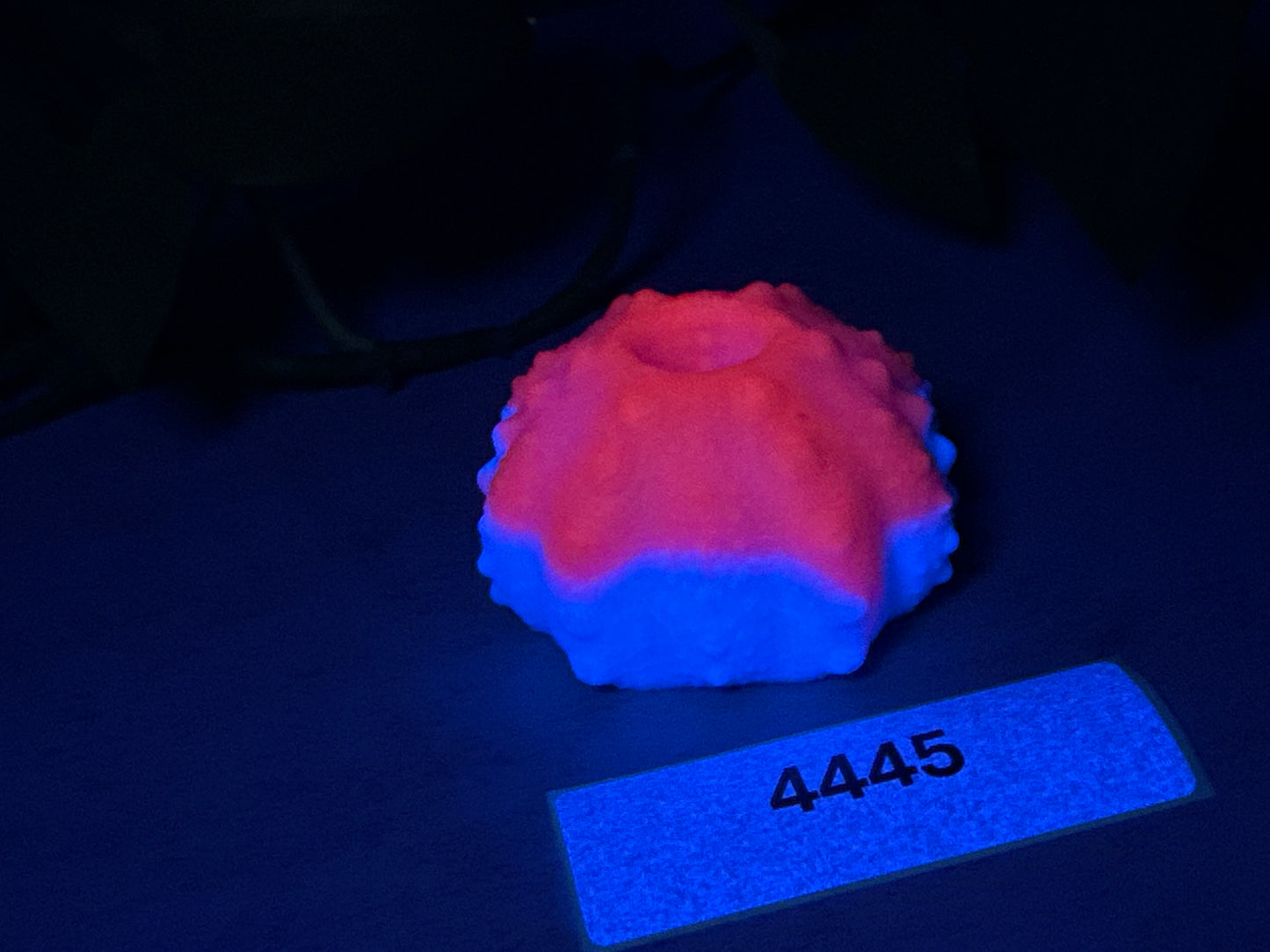 Echinus - Urchin Sucker Stroker - One Size - Soft - UV - GITD - 4445