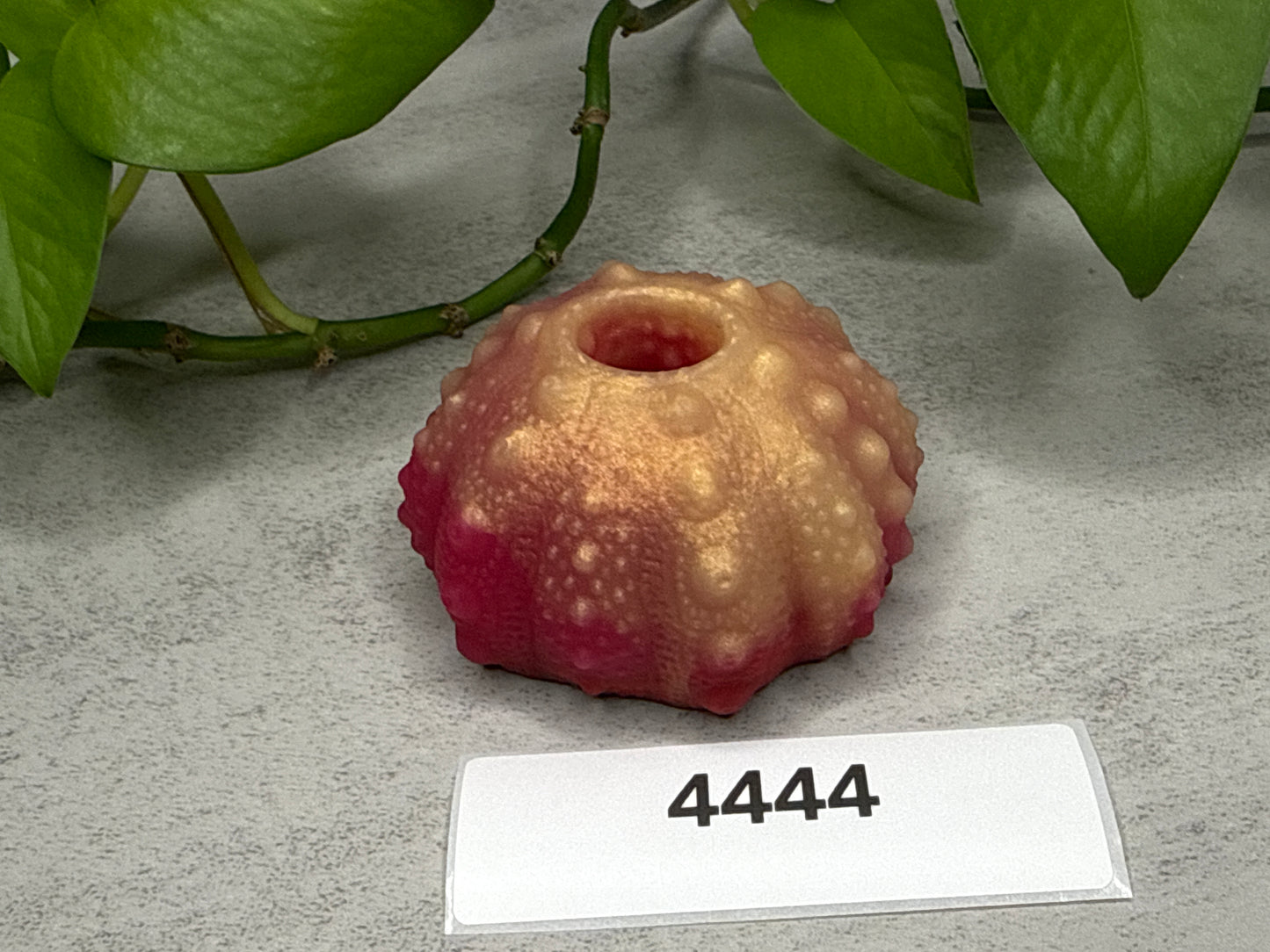 Echinus - Urchin Sucker Stroker - One Size - Soft - GITD - 4444