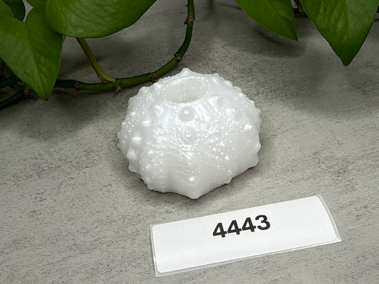 Echinus - Urchin Sucker Stroker - One Size - Soft - 4443