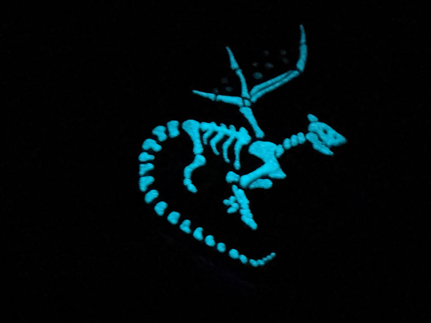 Snap - Cookie Dragon Stim Grinder - Large - Soft - GITD - 4442