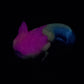 Lottie - Axolotl Squishy - Small - Soft - UV - GITD - 4437