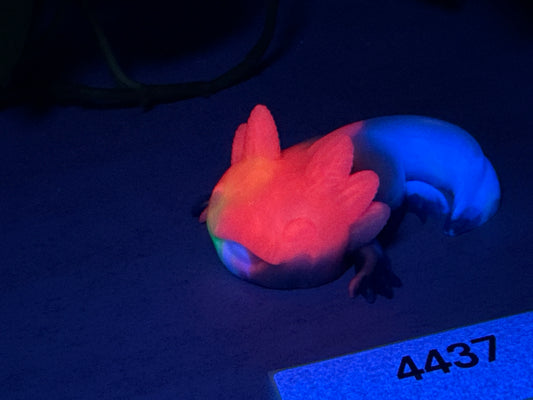 Lottie - Axolotl Squishy - Small - Soft - UV - GITD - 4437