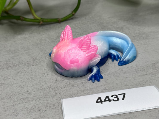 Lottie - Axolotl Squishy - Small - Soft - UV - GITD - 4437