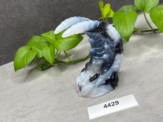 Kariss - Anomalcaris Shrimp Insertable - Small - Soft - 4429