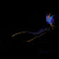 Oola Tongue - Alien Dragon Insertable Toy - Medium - Soft - UV - GITD - 4425