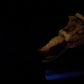 Flop - Quetzal's Tongue - Serpent Maw Insertable - One Size - Soft - GITD - 4412
