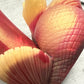 Flop - Tancho - Goldfish Insertable - Small - Soft - GITD - 4415