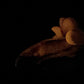 Flop - Tancho - Goldfish Insertable - Medium - Soft - GITD - 4413