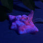 Flapjack - Stingray Squishy - Medium - Soft - UV - GITD - 33087