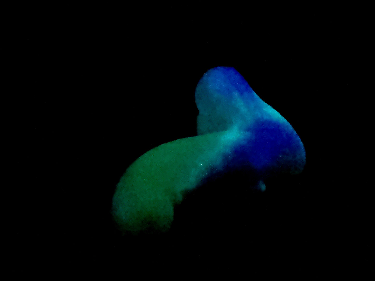 Pip - Insertable Toy - Small - Super Soft - UV - GITD - 33079