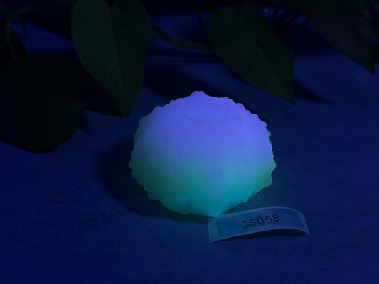 Echinus - Urchin Sucker - One Size - Soft - UV - GITD - 33058