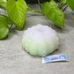 Echinus - Urchin Sucker - One Size - Soft - UV - GITD - 33058