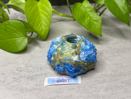 Echinus - Urchin Sucker - One Size - Soft - 33057