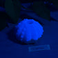 Echinus - Urchin Sucker - One Size - Super Soft - UV - GITD - 33055