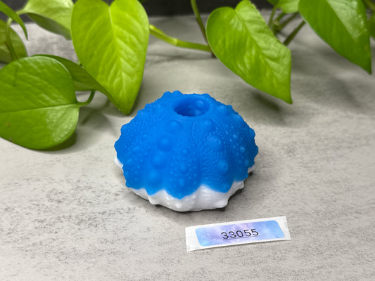 Echinus - Urchin Sucker - One Size - Super Soft - UV - GITD - 33055