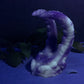 Kariss - Shrimp Insertable - Large - Soft - UV - GITD - 33041