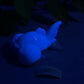 Pudge - Goldfish Squishy - Medium - Super Soft - UV - GITD - 33029