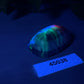 Rollie - Isopod Squishy - Medium - Soft - UV - GITD - 45038