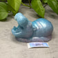 Flop - Delta - Hippo Squishy - One Size - Medium - 33006