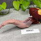 Oola Tongue - Alien Dragon Insertable Toy - Small - Soft - GITD - 45017