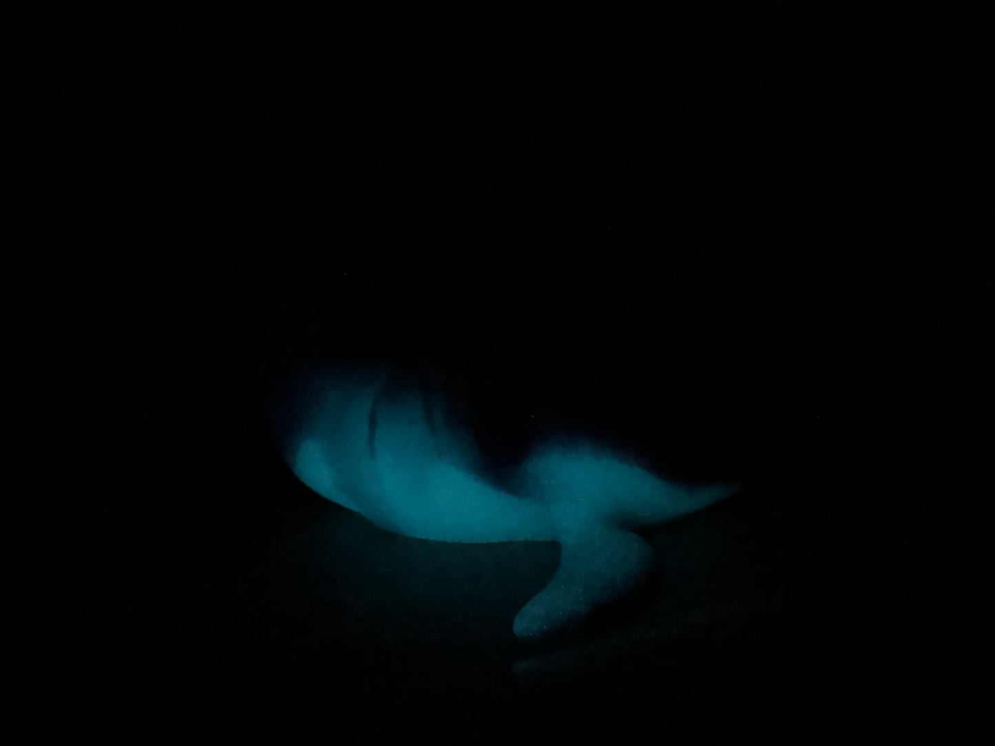 Quint - Shark Open Back Penetrable - Large - Soft - UV - GITD - 45014