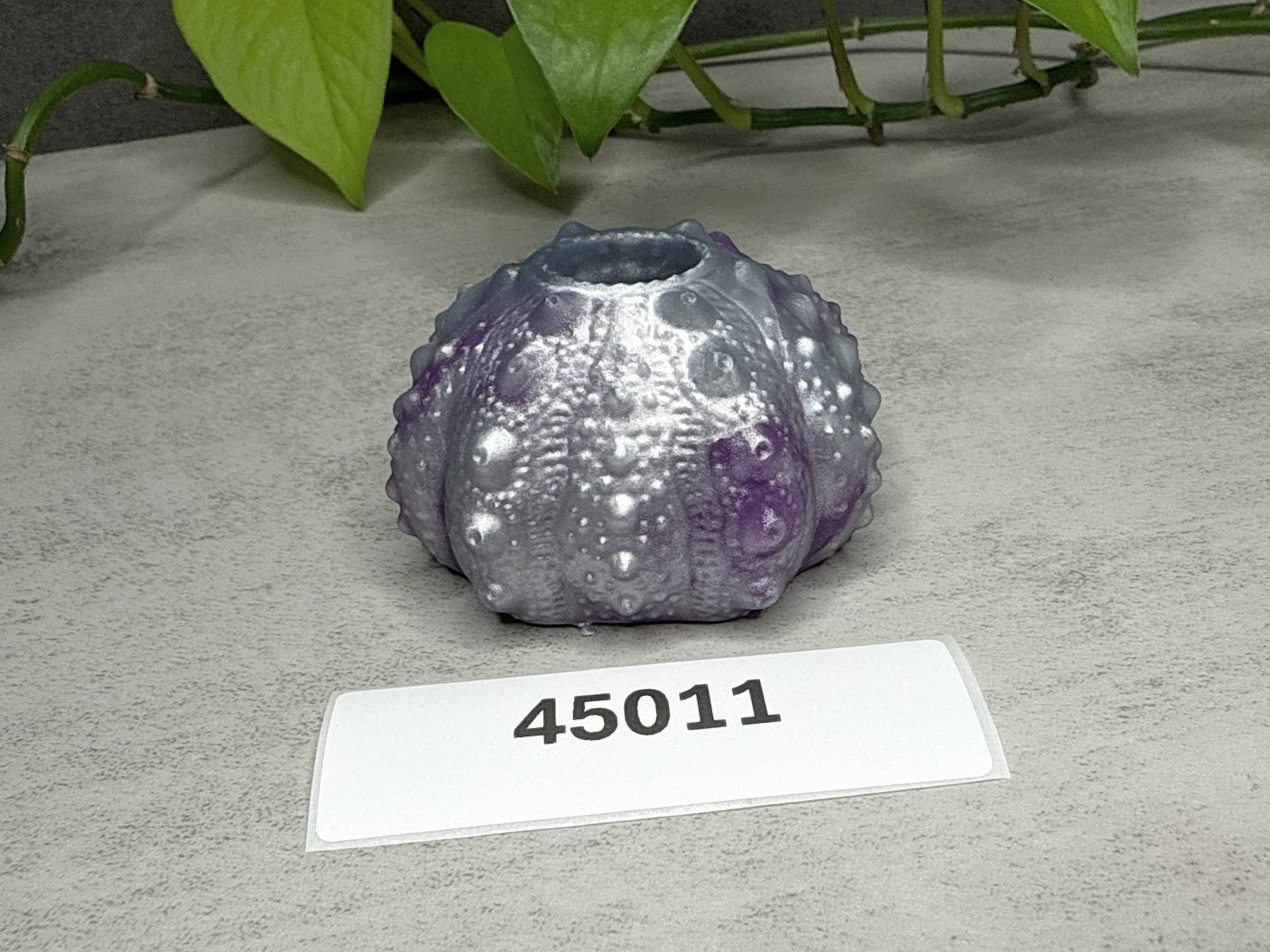Echinus - Urchin Sucker Stroker - One Size - Super Soft - UV - 45011