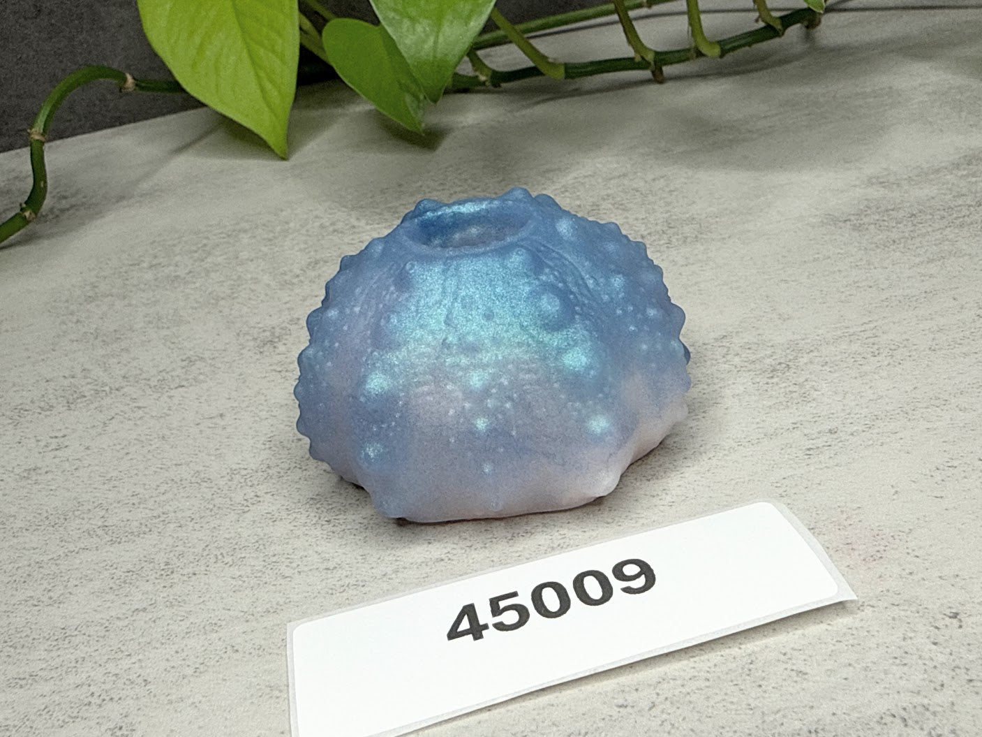 Echinus - Urchin Sucker Stroker - One Size - Soft - 45009