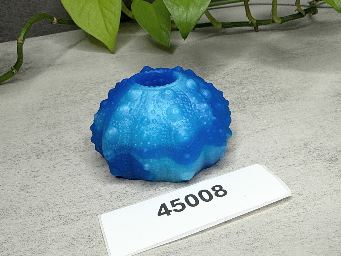 Echinus - Urchin Sucker Stroker - One Size - Soft - 45008