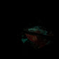 Riptide - Shark FTM Packer - Packer - Soft - UV - GITD - 45006