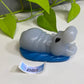 Delta - Hippo Squishy - One Size - Soft - UV - GITD - 25009