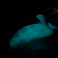 Flop - Tancho - Goldfish Insertable - Medium - NC31 Soft - UV - GITD - 34022