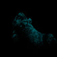 Pip - Insertable - Small - Medium - UV - GITD - 34013