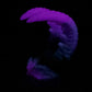Kariss - Shrimp Insertable - Large - Soft - UV - GITD - 34008